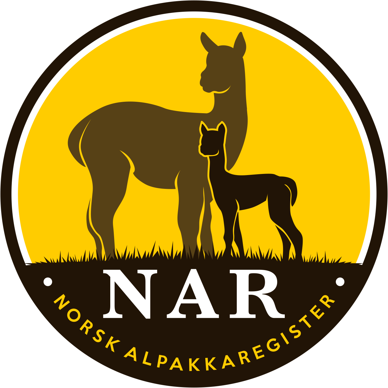 Artikkelbilde til artikkelen Ny versjon av Norsk Alpakkaregister